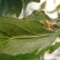 080003_20180306170516_01.JPG