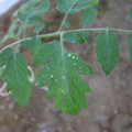 080003_20181010165143_04.JPG