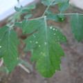 080003_20181010165146_06.JPG