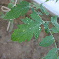 080003_20181010165238_04.JPG