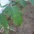 080003_20181010165240_03.JPG
