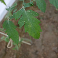080003_20181010165250_01.JPG