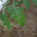 080003_20181010165250_04.JPG