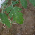 080003_20181010165251_01.JPG