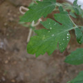 080003_20181010165251_03.JPG
