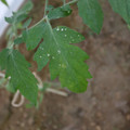 080003_20181010165251_06.JPG