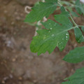 080003_20181010165252_04.JPG