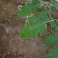 080003_20181010165253_02.JPG