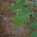 080003_20181010165253_03.JPG