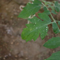 080003_20181010165253_04.JPG