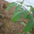 080003_20181010165314_06.JPG