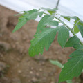080003_20181010165316_03.JPG
