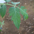 080003_20181010165747_01.JPG