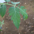 080003_20181010165747_04.JPG