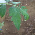 080003_20181010165748_01.JPG