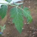 080003_20181010165749_01.JPG