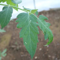 080003_20181010165751_04.JPG