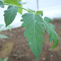 080003_20181010165753_02.JPG