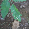 080003_20181010165855_01.JPG