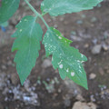 080003_20181010165902_03.JPG