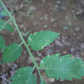 080003_20181010165916_05.JPG