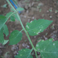 080003_20181010165919_04.JPG
