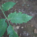 080003_20181010165939_01.JPG