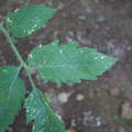 080003_20181010165939_02.JPG