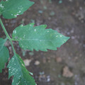 080003_20181010165941_02.JPG
