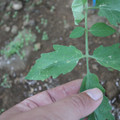 080003_20181010170005_02.JPG