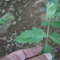 080003_20181010170008_01.JPG