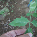 080003_20181010170008_02.JPG