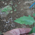 080003_20181010170009_04.JPG