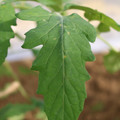 080003_20181025144536_04.JPG