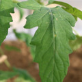 080003_20181025144538_03.JPG
