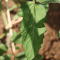 080003_20181025144723_04.JPG