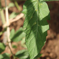 080003_20181025144724_06.JPG