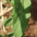 080003_20181025144740_04.JPG