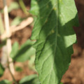 080003_20181025144741_01.JPG