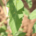 080003_20181025144758_06.JPG