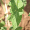 080003_20181025144759_01.JPG