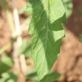 080003_20181025144759_02.JPG