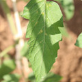 080003_20181025144759_03.JPG