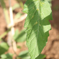 080003_20181025144800_03.JPG