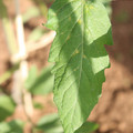 080003_20181025144800_04.JPG