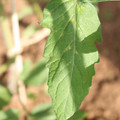 080003_20181025144801_01.JPG