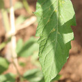 080003_20181025144801_04.JPG