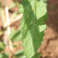 080003_20181025144801_06.JPG