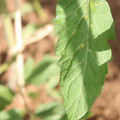 080003_20181025144802_02.JPG