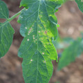 080003_20181025145501_01.JPG